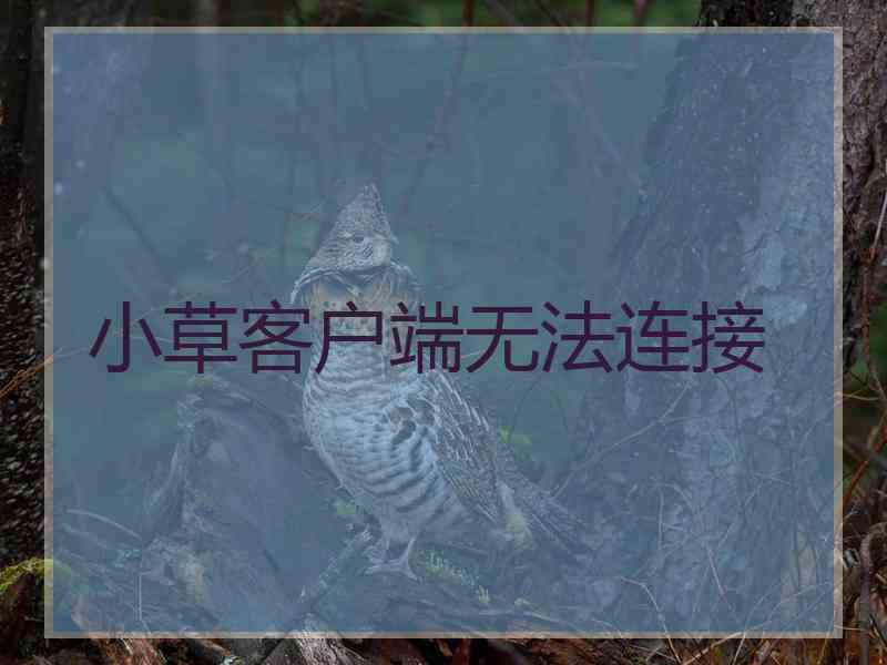 小草客户端无法连接