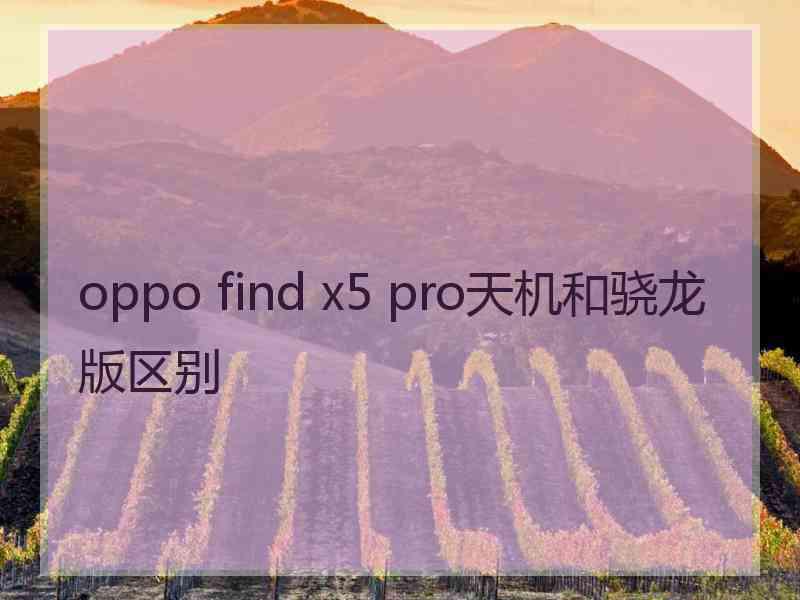 oppo find x5 pro天机和骁龙版区别