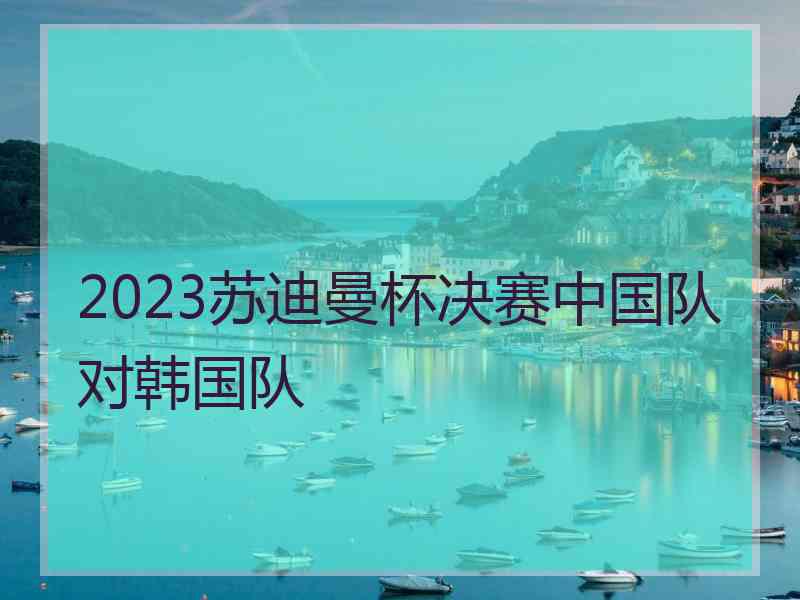 2023苏迪曼杯决赛中国队对韩国队