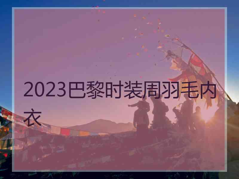 2023巴黎时装周羽毛内衣