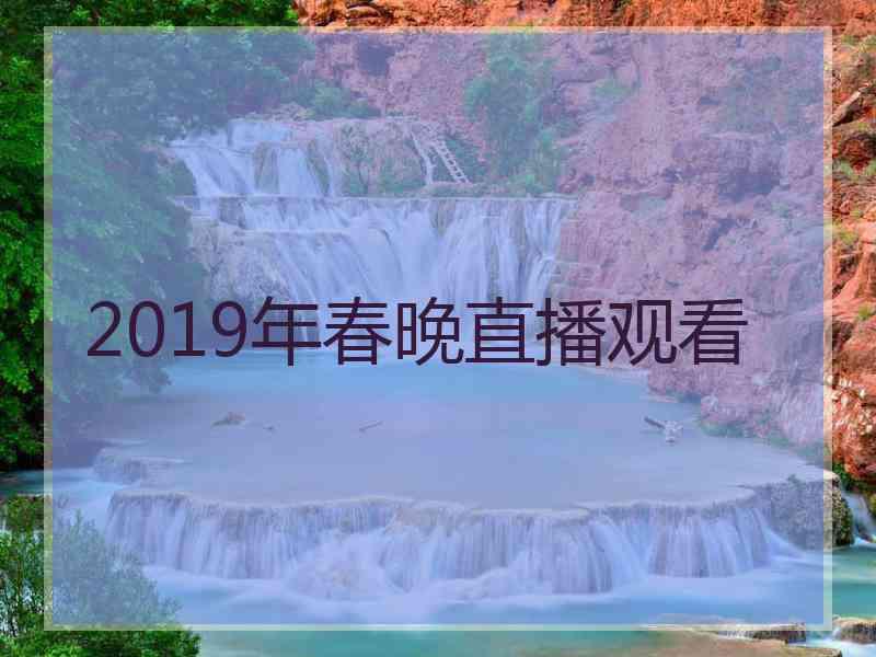 2019年春晚直播观看