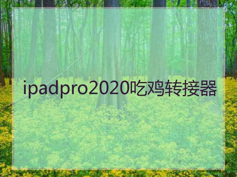 ipadpro2020吃鸡转接器