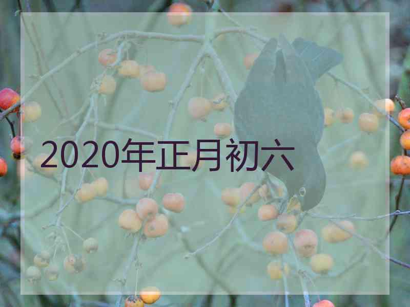 2020年正月初六