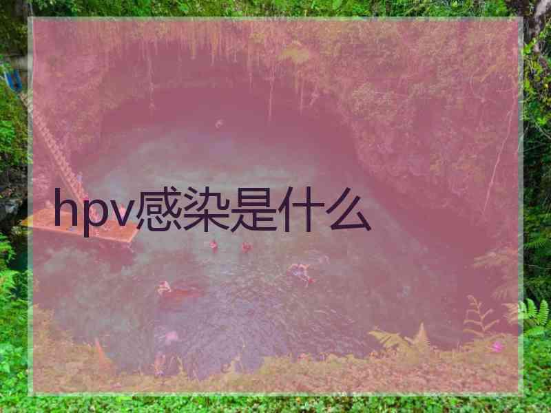 hpv感染是什么