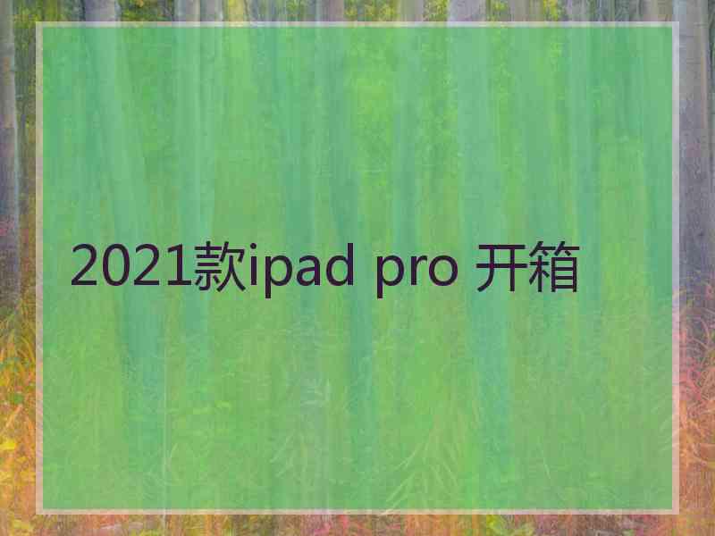 2021款ipad pro 开箱