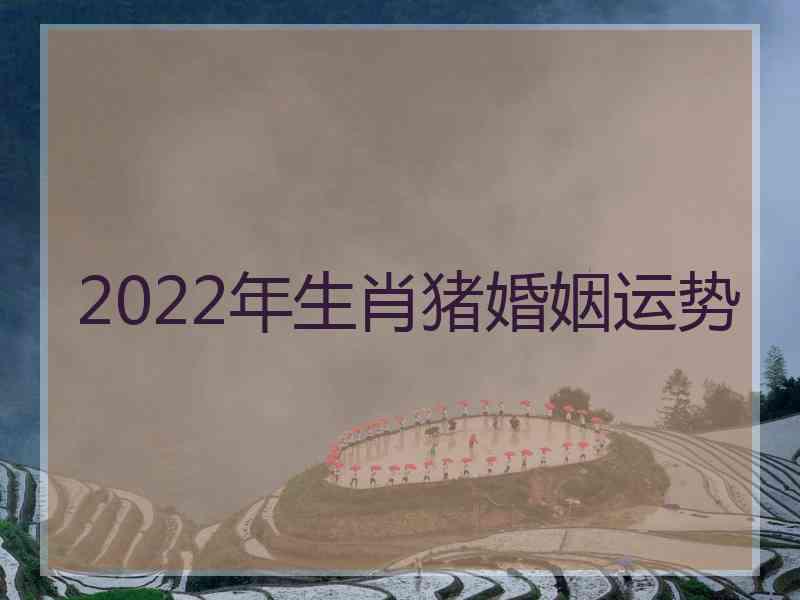 2022年生肖猪婚姻运势