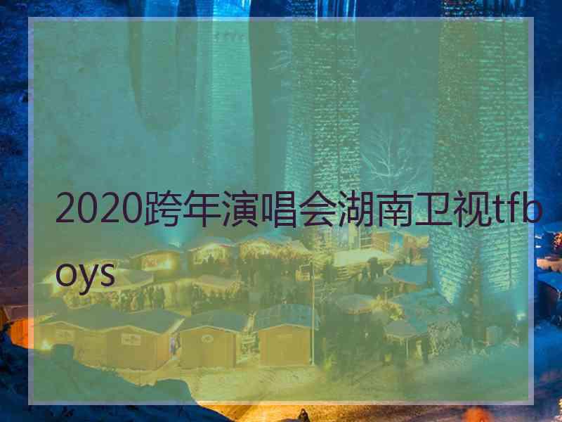 2020跨年演唱会湖南卫视tfboys