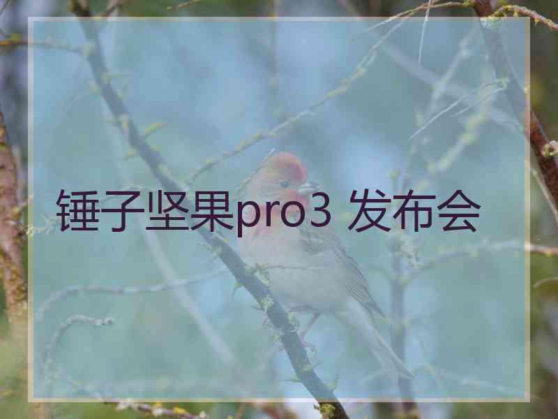 锤子坚果pro3 发布会