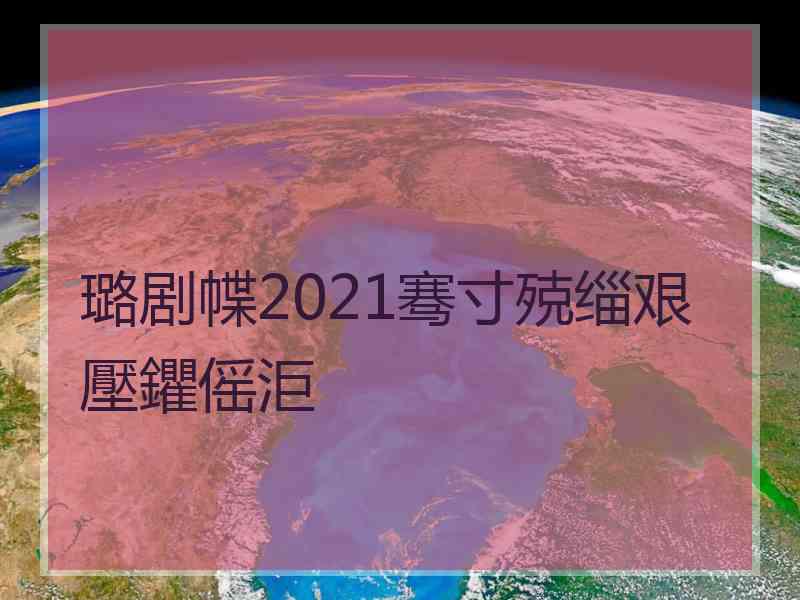 璐剧幉2021骞寸殑缁艰壓鑺傜洰