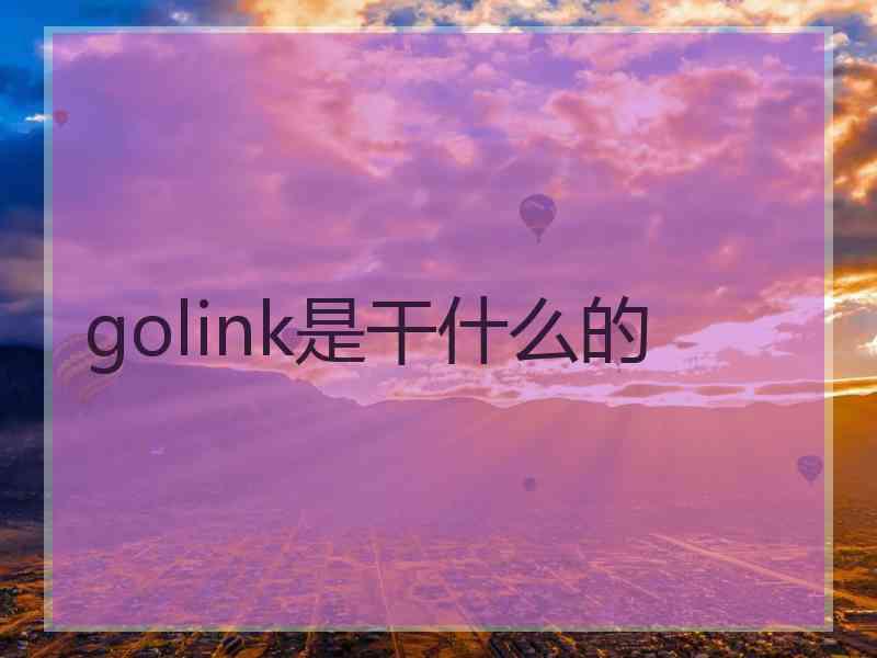 golink是干什么的