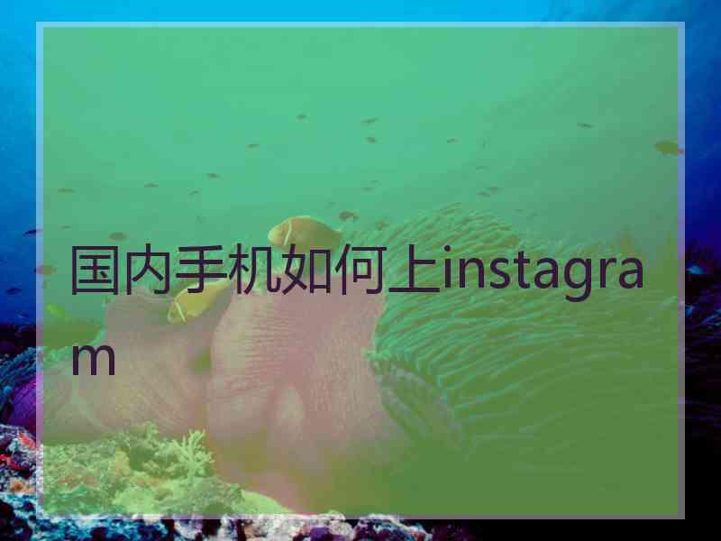 国内手机如何上instagram