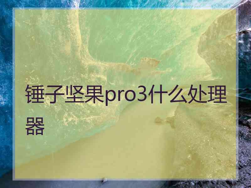 锤子坚果pro3什么处理器