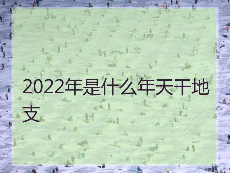 2022年是什么年天干地支