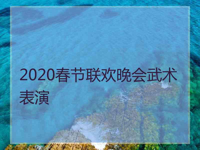 2020春节联欢晚会武术表演