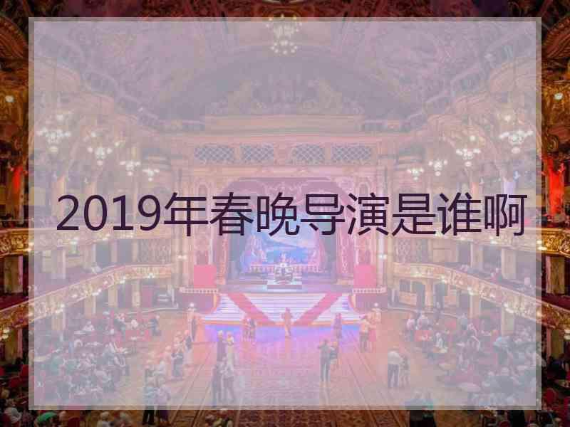 2019年春晚导演是谁啊