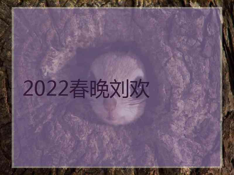 2022春晚刘欢