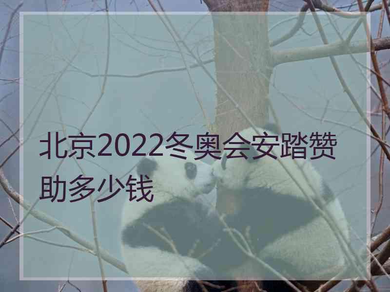 北京2022冬奥会安踏赞助多少钱