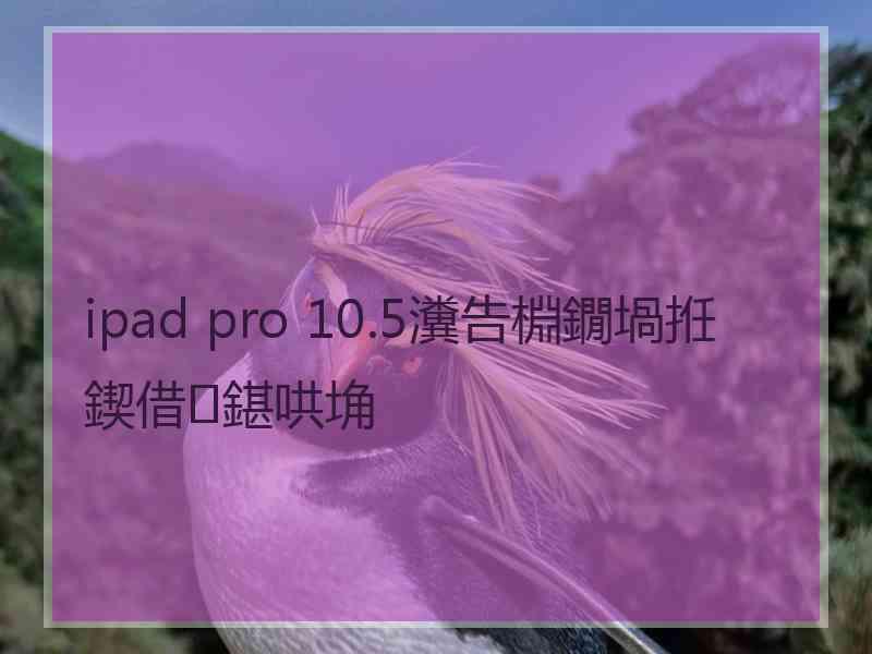 ipad pro 10.5瀵告棩鐗堝拰鍥借鍖哄埆