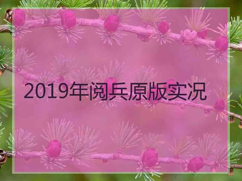 2019年阅兵原版实况