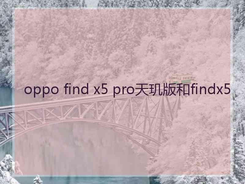 oppo find x5 pro天玑版和findx5