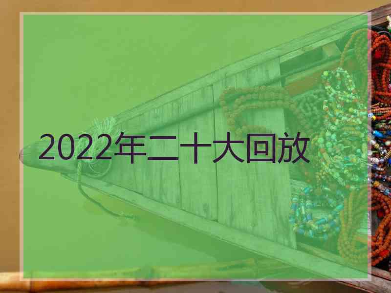 2022年二十大回放