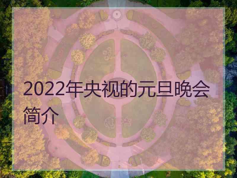 2022年央视的元旦晚会简介