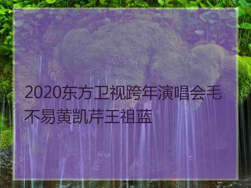 2020东方卫视跨年演唱会毛不易黄凯芹王祖蓝