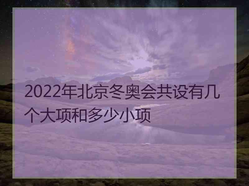 2022年北京冬奥会共设有几个大项和多少小项