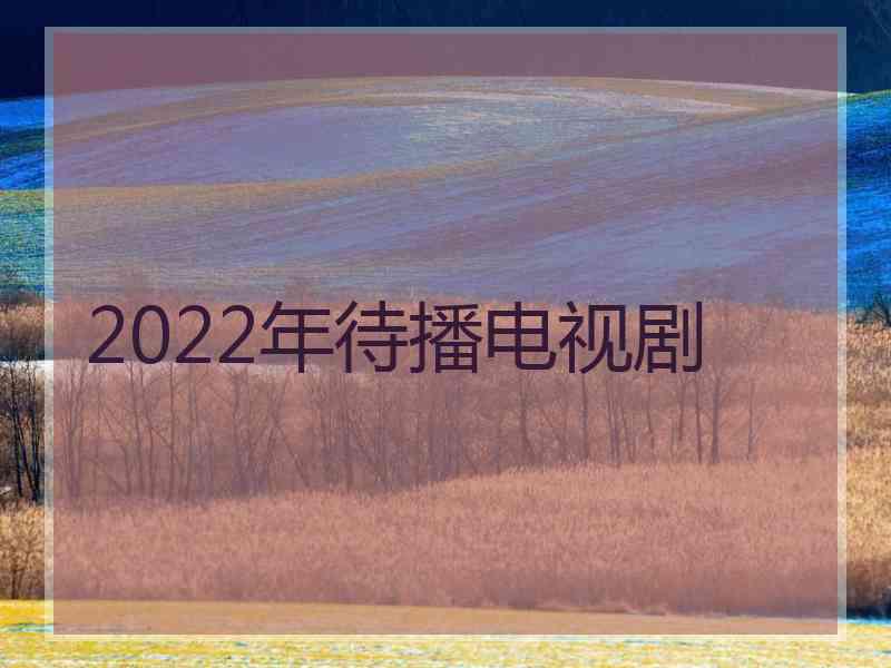 2022年待播电视剧