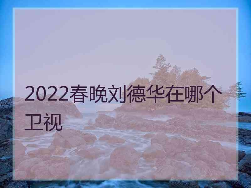 2022春晚刘德华在哪个卫视