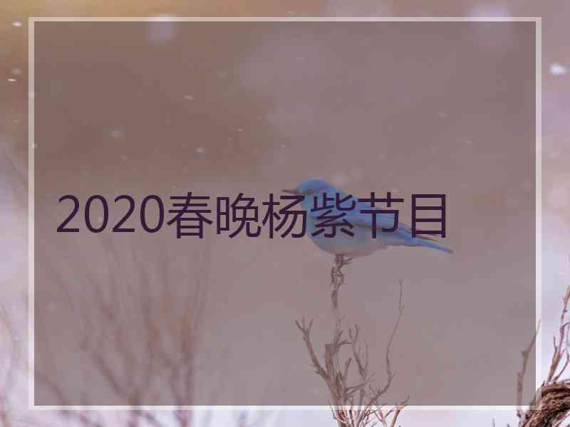 2020春晚杨紫节目