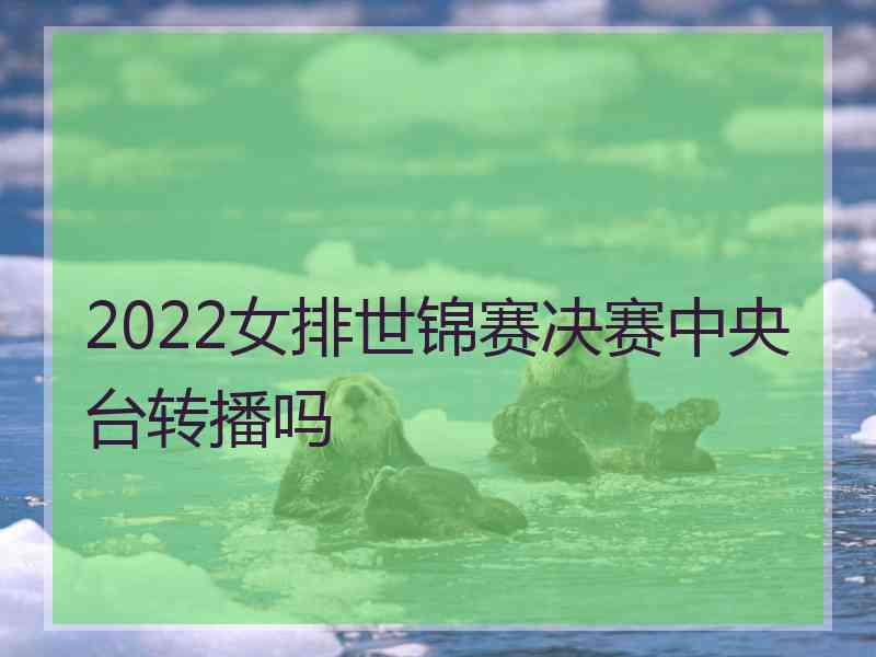 2022女排世锦赛决赛中央台转播吗