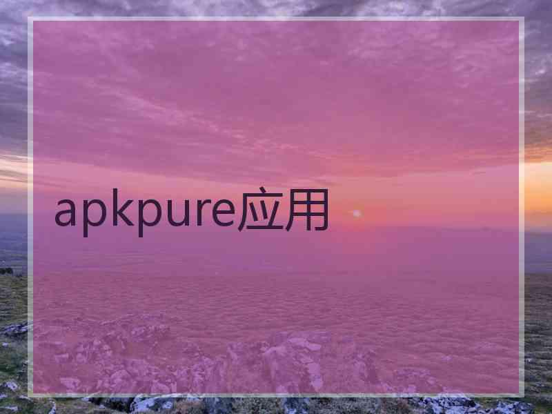 apkpure应用