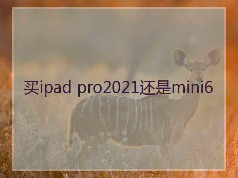 买ipad pro2021还是mini6