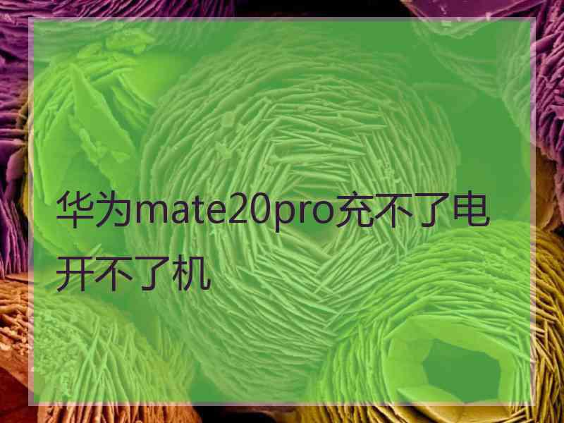 华为mate20pro充不了电开不了机