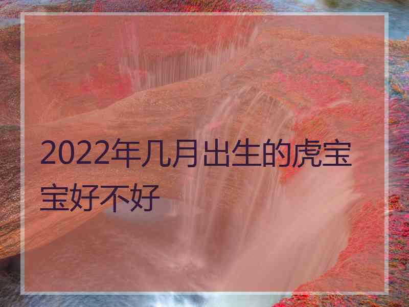 2022年几月出生的虎宝宝好不好