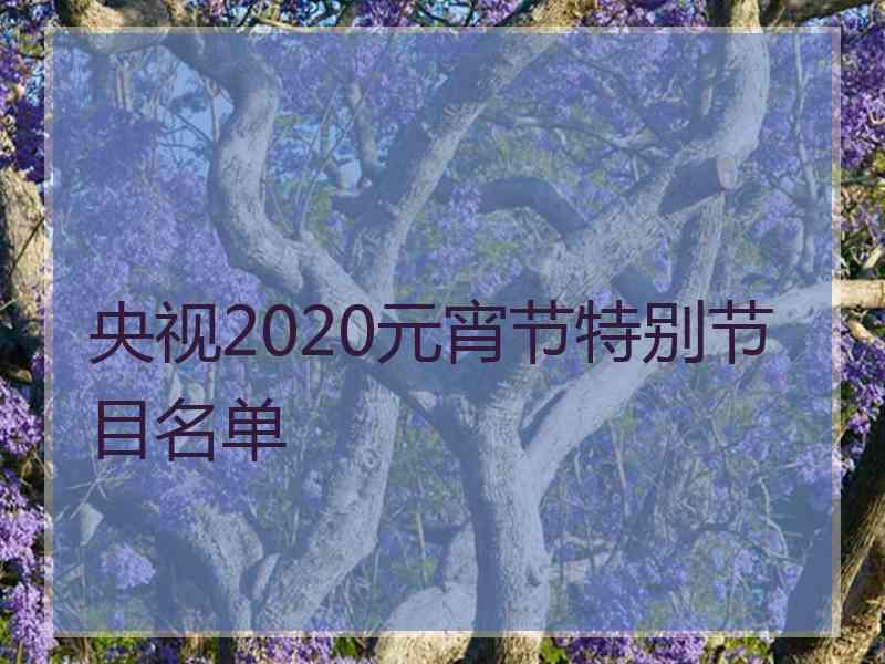 央视2020元宵节特别节目名单