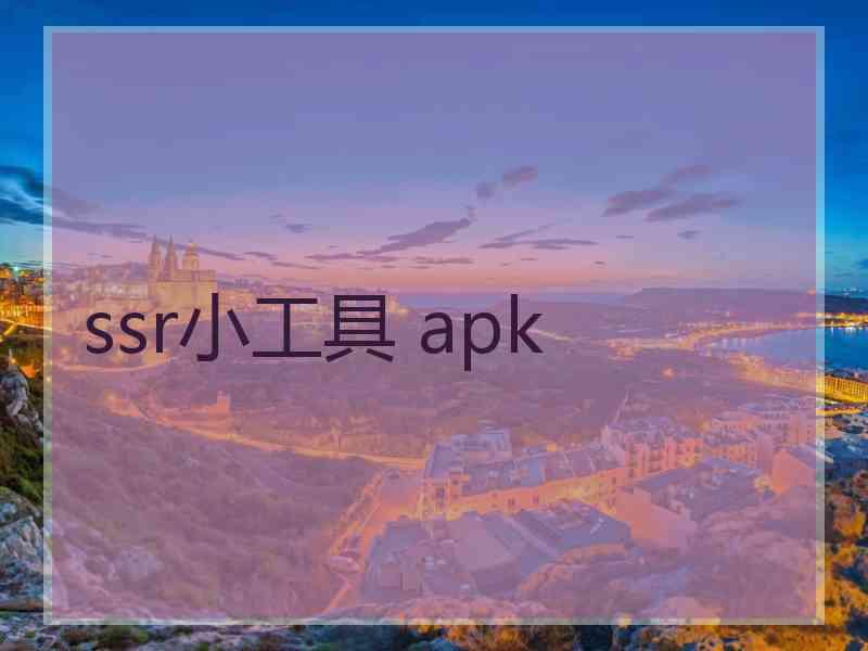 ssr小工具 apk