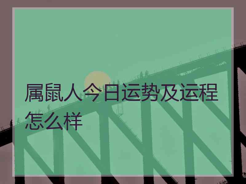 属鼠人今日运势及运程怎么样