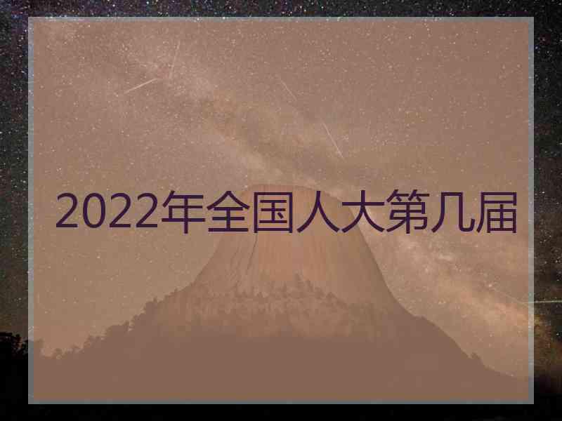 2022年全国人大第几届