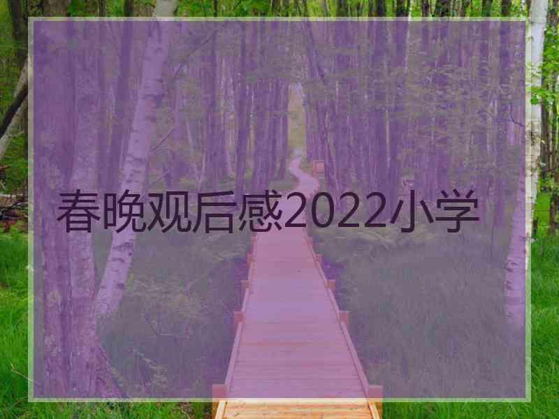 春晚观后感2022小学