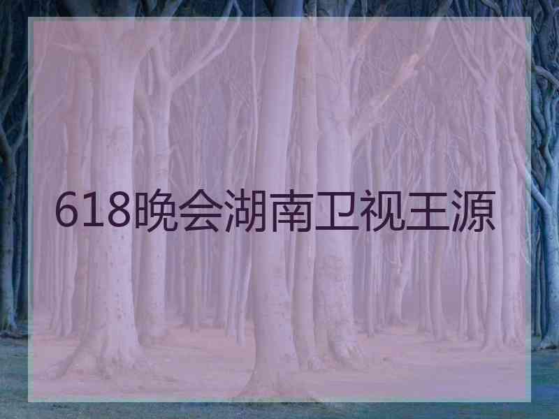 618晚会湖南卫视王源