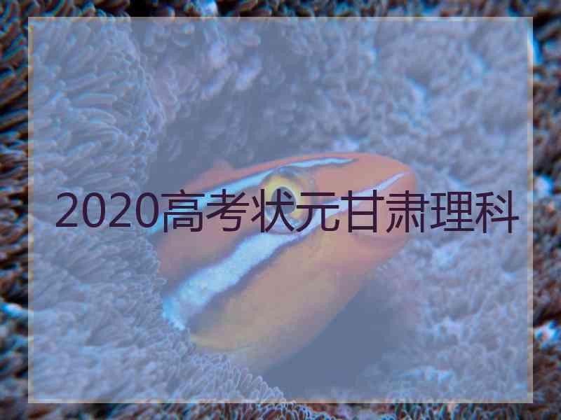 2020高考状元甘肃理科