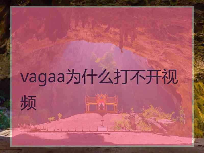 vagaa为什么打不开视频