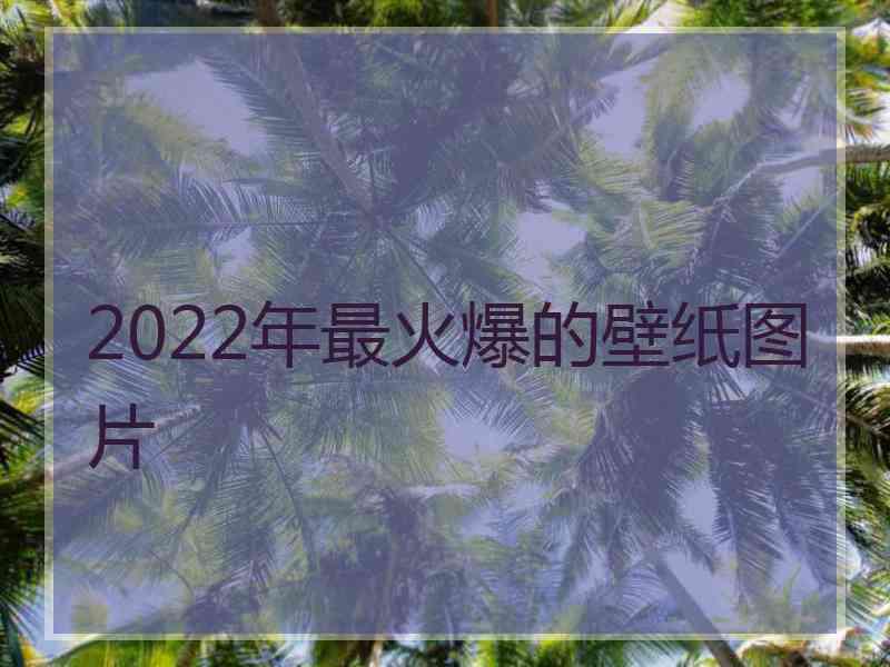 2022年最火爆的壁纸图片