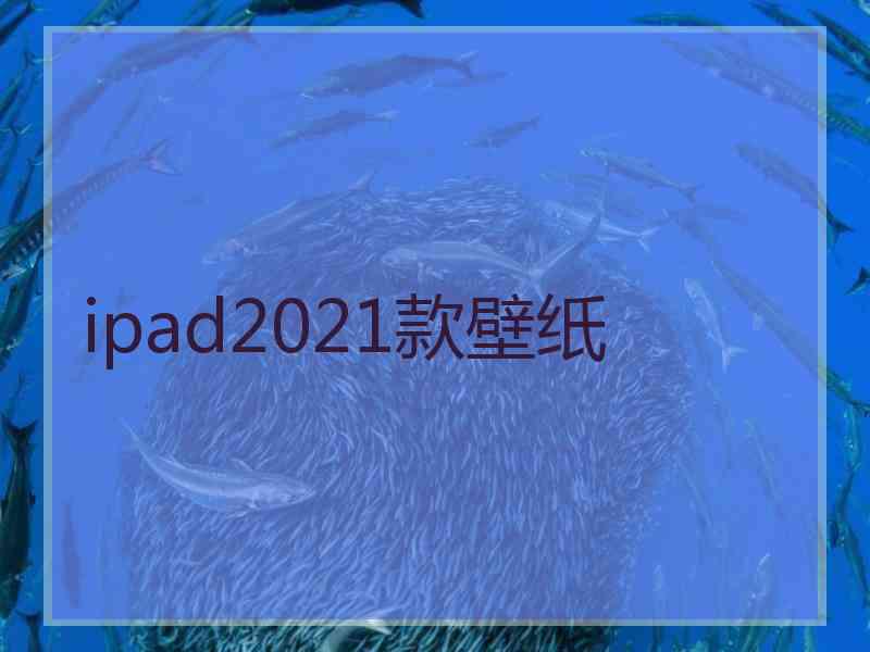 ipad2021款壁纸