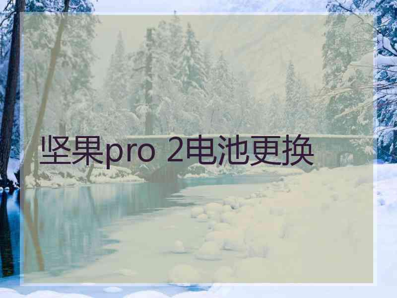 坚果pro 2电池更换