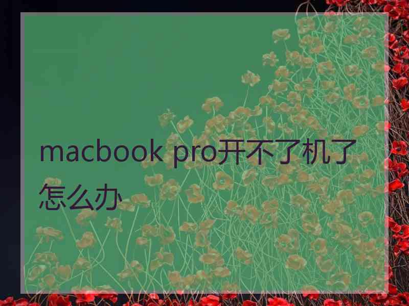 macbook pro开不了机了怎么办