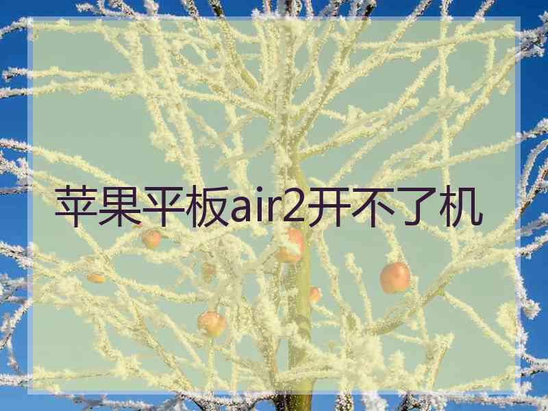 苹果平板air2开不了机