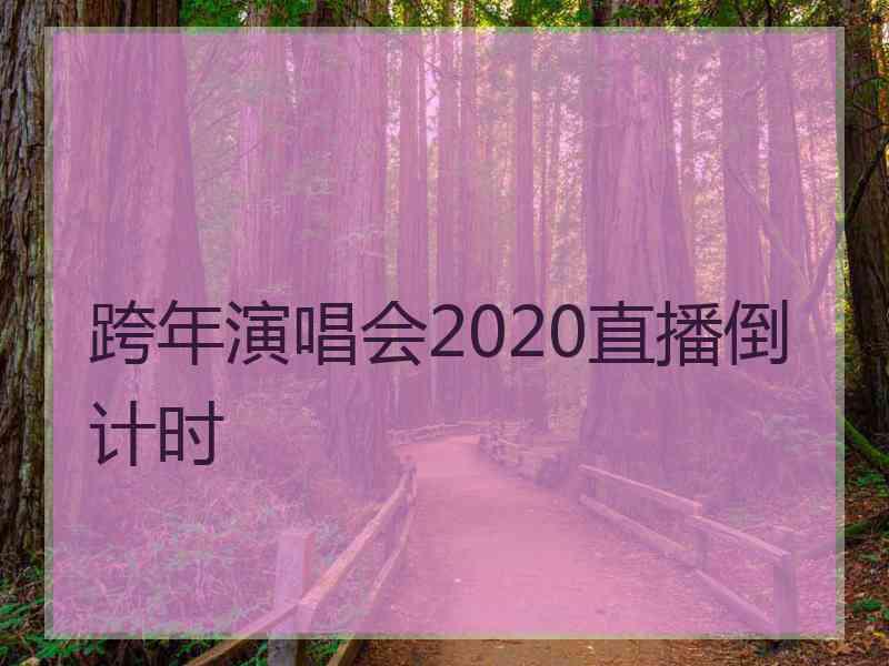 跨年演唱会2020直播倒计时